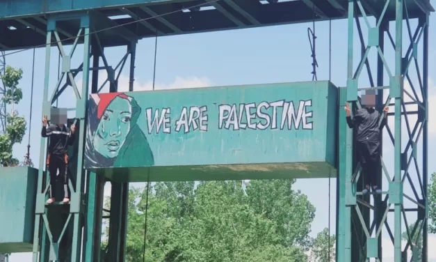 Kashmir police arrest graffiti artist over Palestine mural