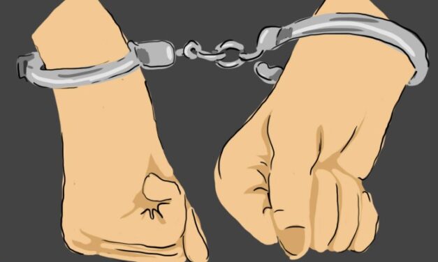 In Kashmir, activist held for remarks on ‘outsider’ officers at janata durbar