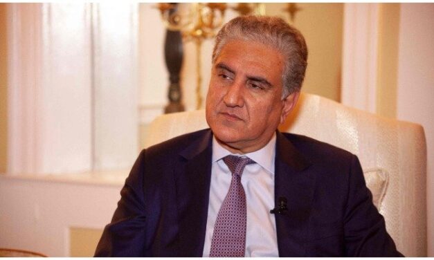 Qureshi apprises UNSC regarding developments in IOJK