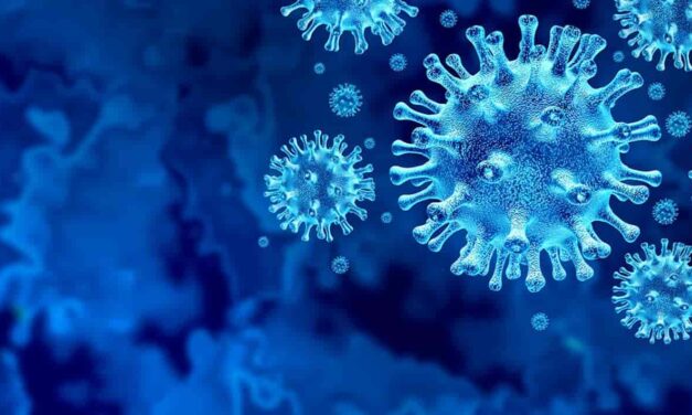 Kashmir reports 143 fresh Covid cases and two deaths as surge continues in valley