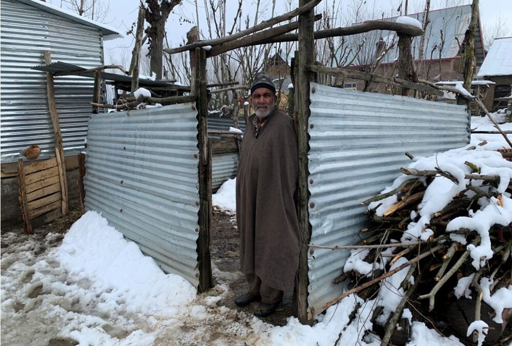 ‘It was a family member’: Kashmiri parents sell cow for captive son
