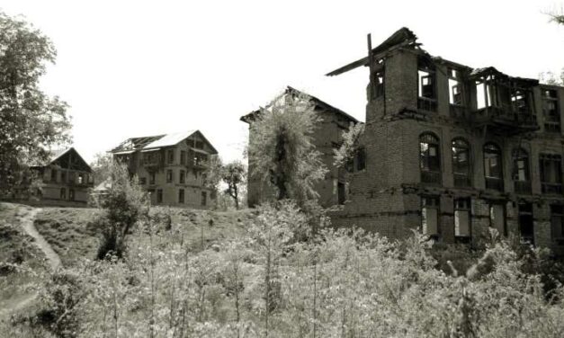 Properties of 610 Kashmiri Pandits restored in J-K: Union minister in parliament