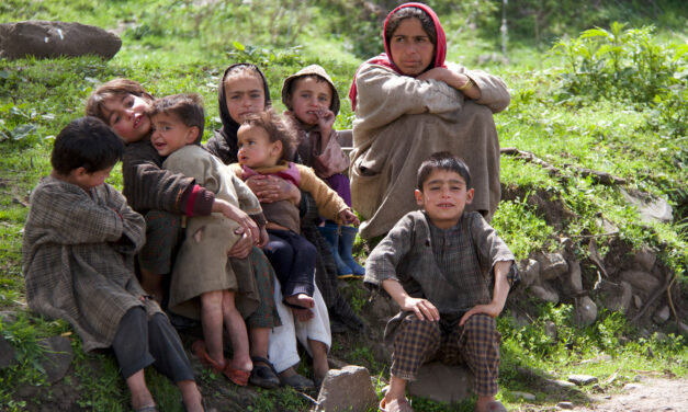 Kashmir News Weekly Roundup: 11/27-12/4